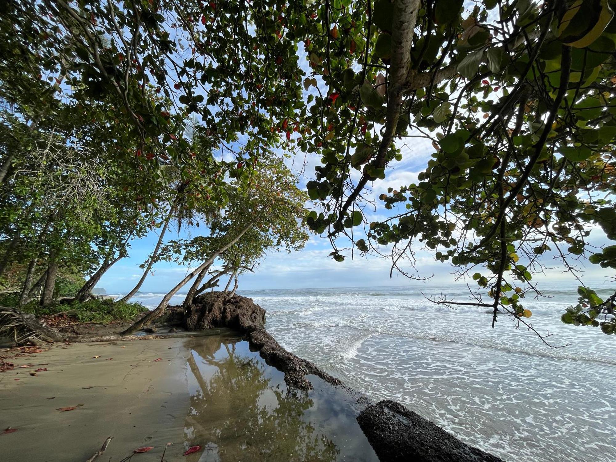 Namu Garden Hotel & Spa (Adults Only) Puerto Viejo de Talamanca Luaran gambar